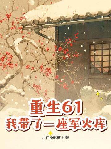 重生61我带了一座军火库