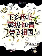 下乡西北满级知青带飞祖国